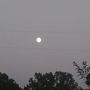 Meet your Posher, Johnny